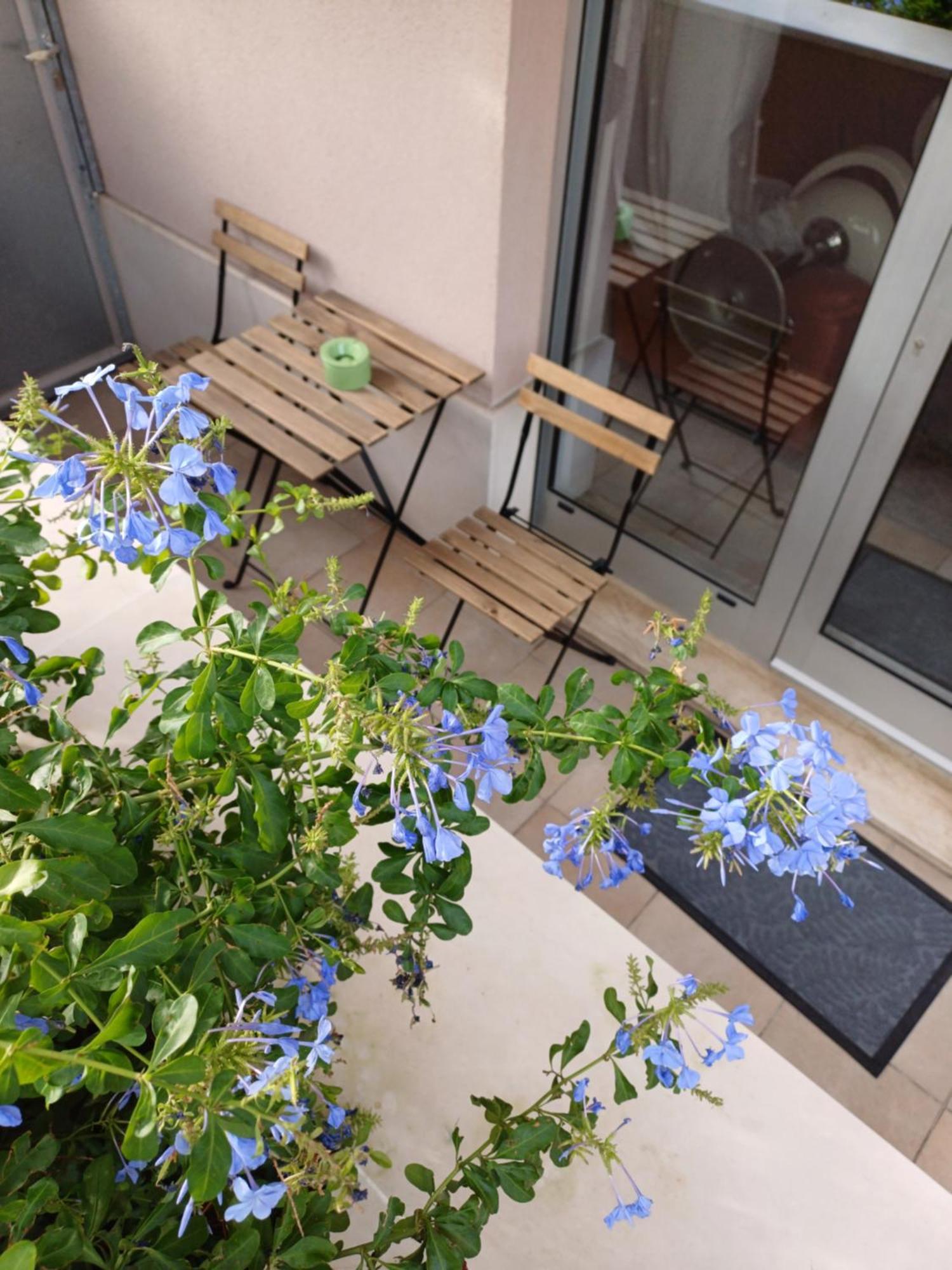 Apartment Zenta With Free Private Parking Σπλιτ Εξωτερικό φωτογραφία